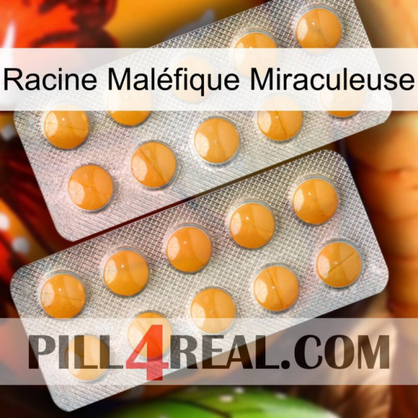 Racine Maléfique Miraculeuse levitra2.jpg
